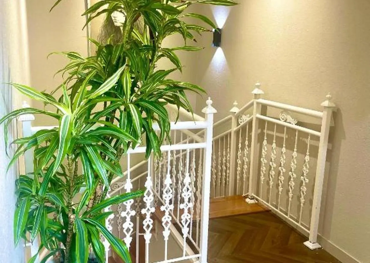 Perla De Mar Hotel Баку 4*,  Азербайджан